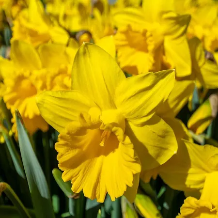 Apartman Apartment In Julianadorp Aan Zee With Terrace De Zandloper