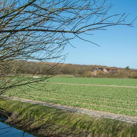 Appartamento In Julianadorp Aan Zee With Terrace *