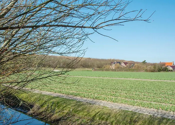 In Julianadorp Aan Zee With Terrace De Zandloper